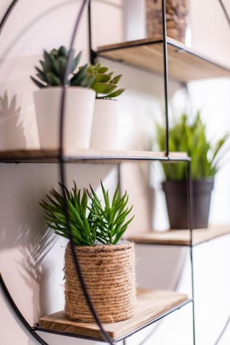 Forest Chic : Maison San Marina Διαμέρισμα Parmain Εξωτερικό φωτογραφία